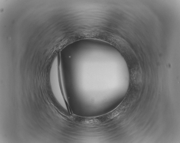 X0000072940752200608111600