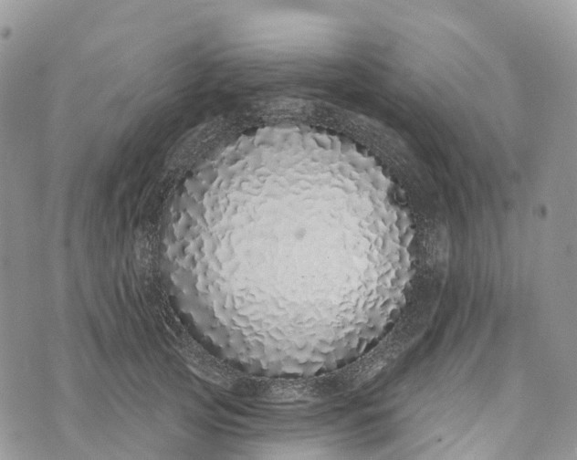 X0000072940753200608111600