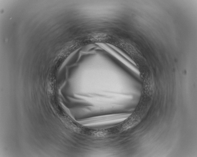 X0000072940755200608111600