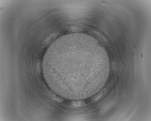 X0000072940757200608111600