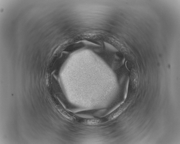 X0000072940758200608111600