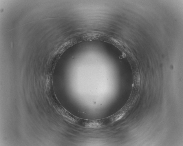 X0000072940759200608111600