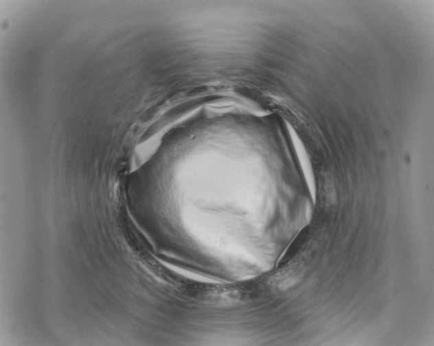 X0000072940760200608111600