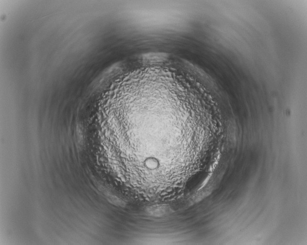 X0000072940761200608111600