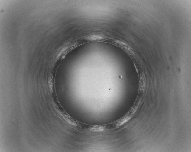 X0000072940762200608111600