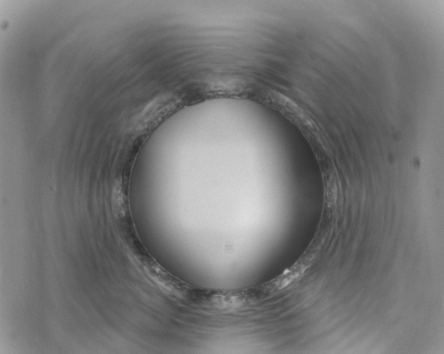 X0000072940764200608111600