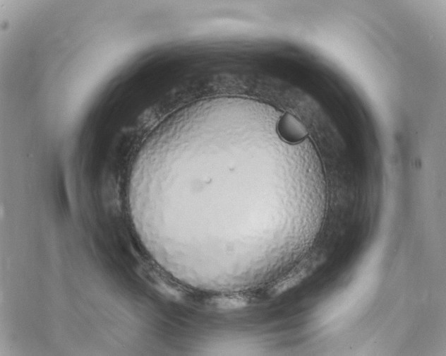 X0000072940765200608111600