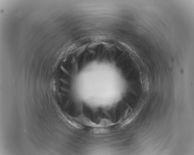 X0000072940766200608111600