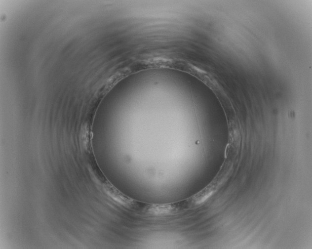 X0000072940767200608111600