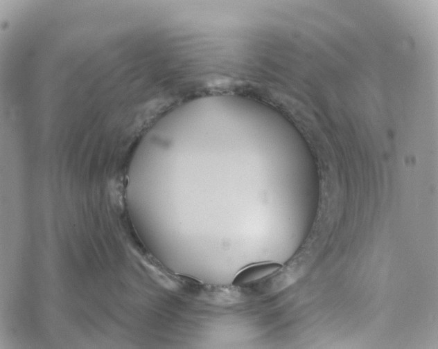 X0000072940768200608111600