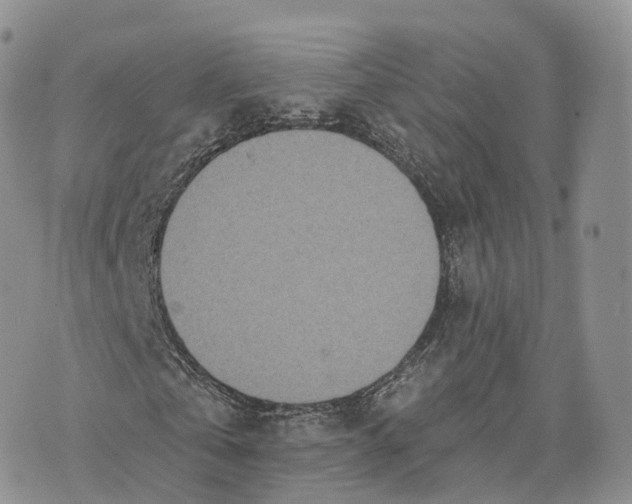 X0000072940769200608111559