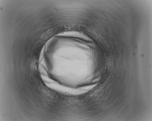 X0000072940770200608111559