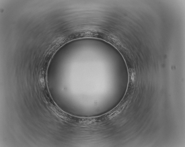 X0000072940771200608111559