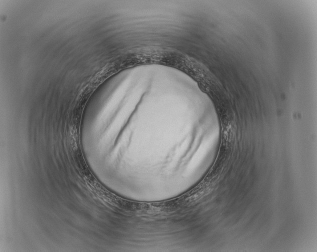 X0000072940772200608111559