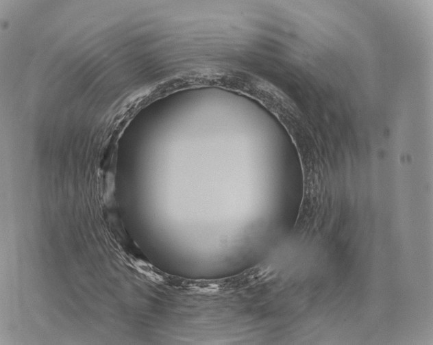 X0000072940773200608111559