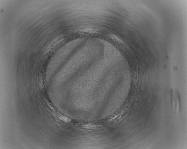 X0000072940774200608111559