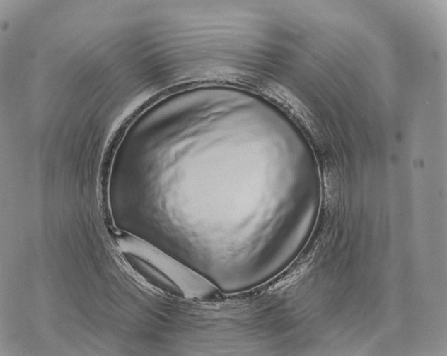 X0000072940780200608111559