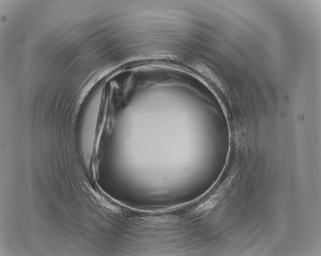 X0000072940781200608111559