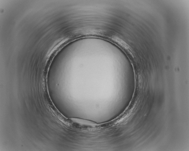 X0000072940782200608111559