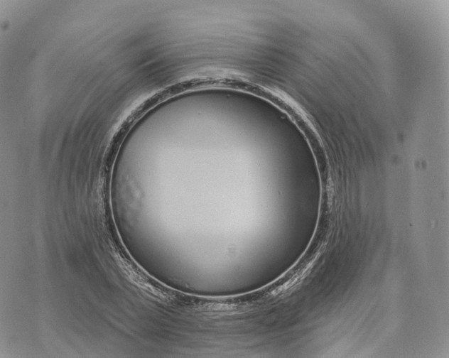 X0000072940783200608111559