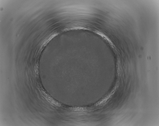 X0000072940785200608111559