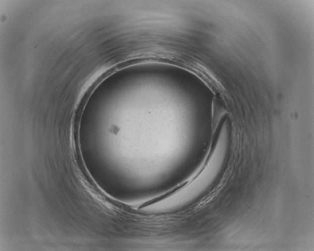 X0000072940788200608111559