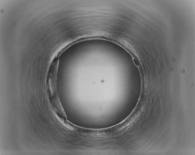 X0000072940789200608111559