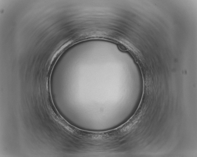 X0000072940790200608111559