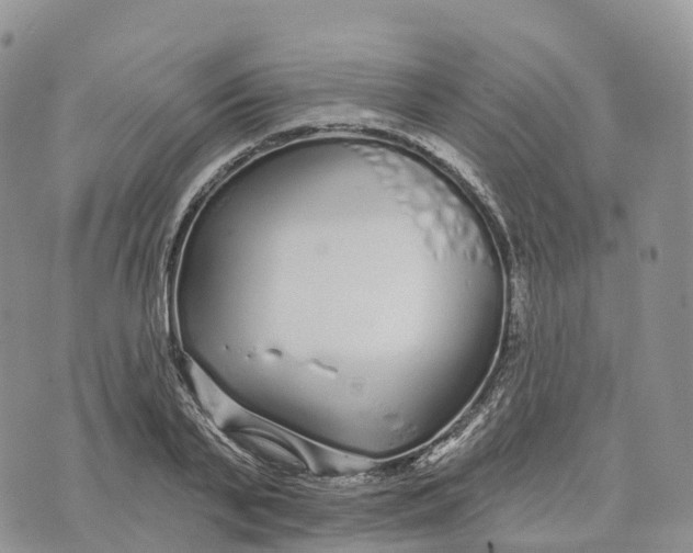 X0000072940791200608111559