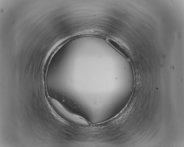 X0000072940792200608111559