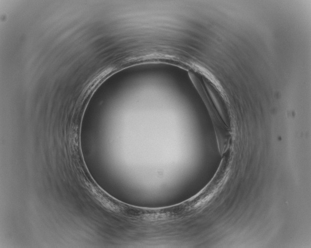 X0000072940793200608111559