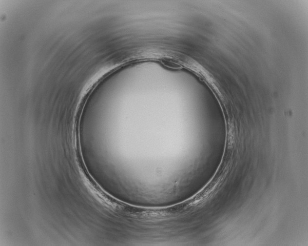 X0000072940795200608111559