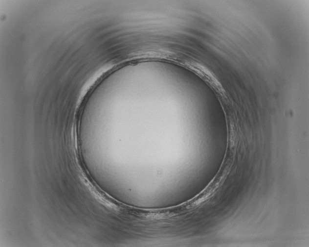 X0000072940796200608111559