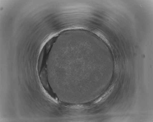 X0000072940797200608111559