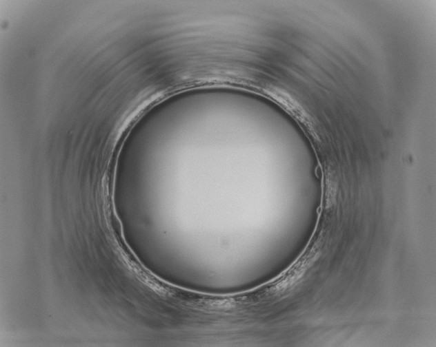 X0000072940798200608111559