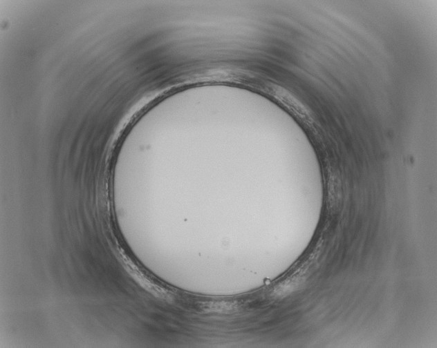 X0000072940800200608111559