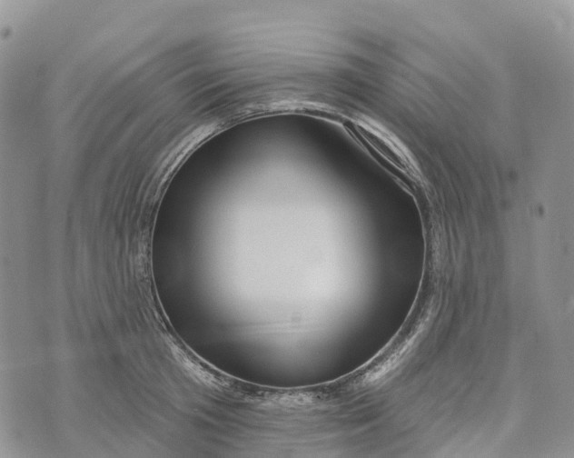 X0000072940801200608111559