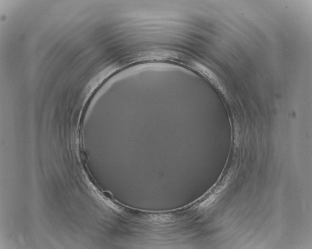 X0000072940802200608111559