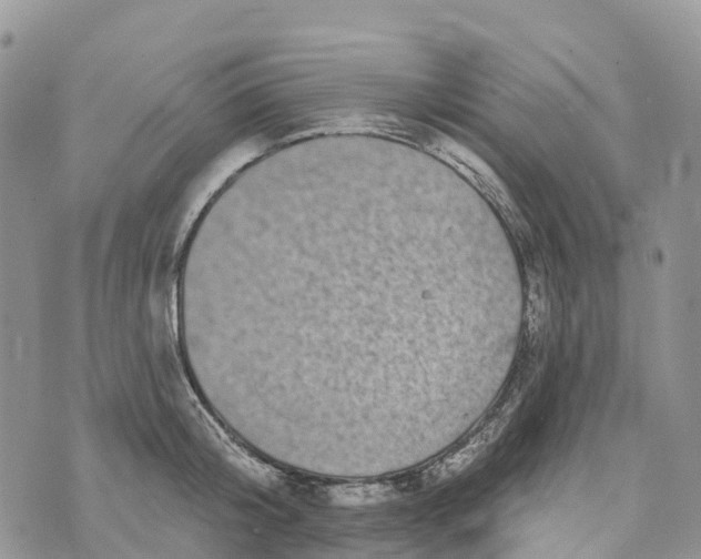 X0000072940804200608111559