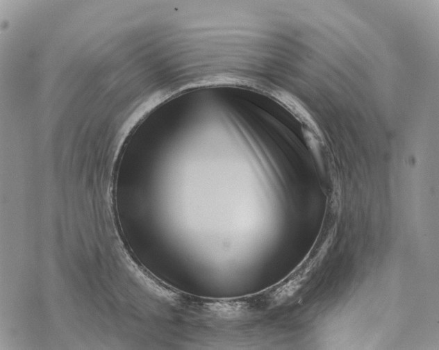 X0000072940805200608111559