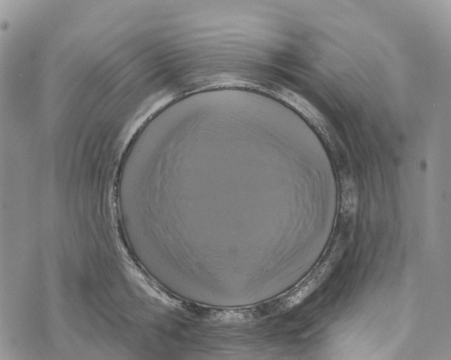 X0000072940806200608111559