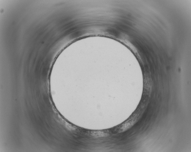 X0000072940807200608111559