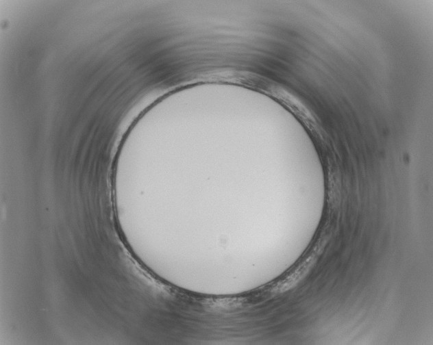 X0000072940808200608111559