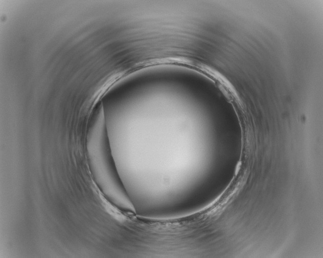 X0000072940809200608111559