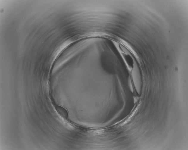 X0000072940810200608111559