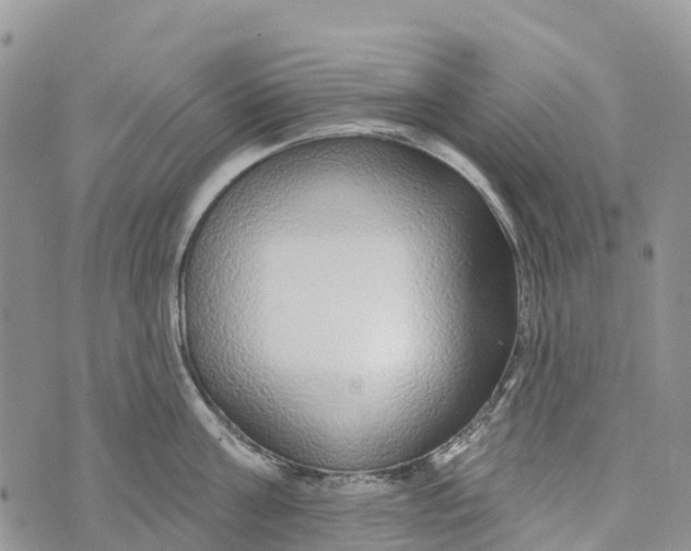 X0000072940811200608111559