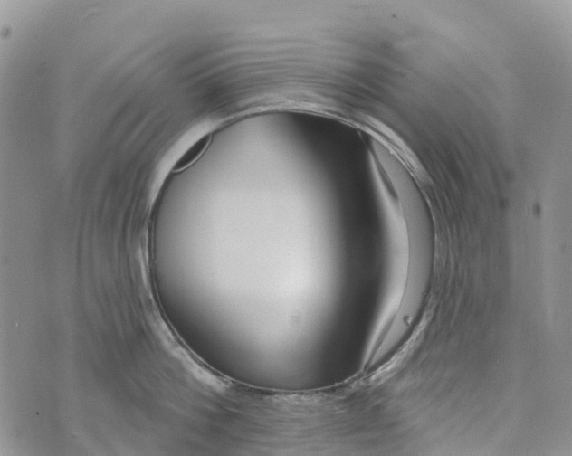 X0000072940812200608111559