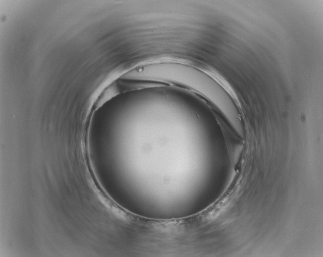 X0000072940813200608111559