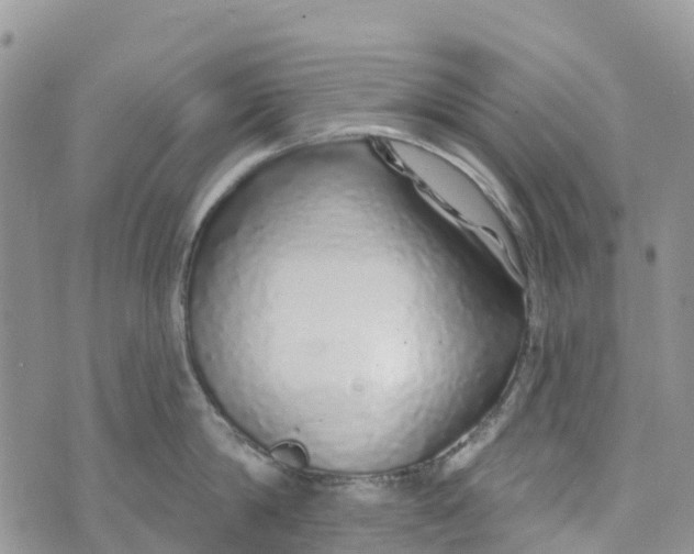 X0000072940814200608111559