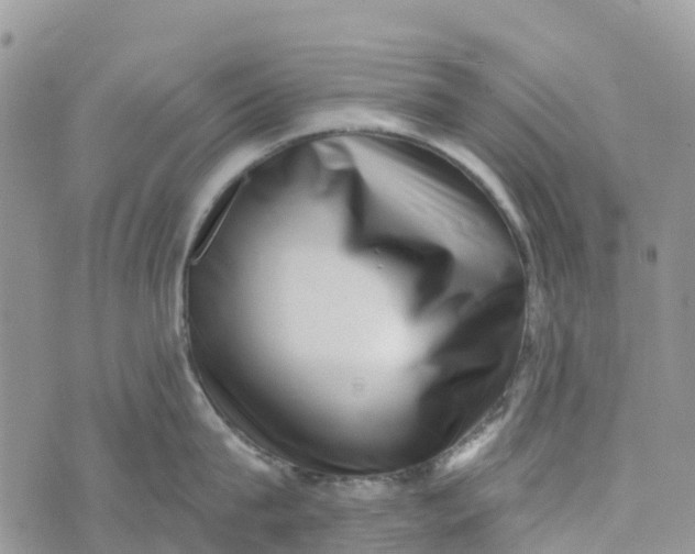 X0000072940815200608111559